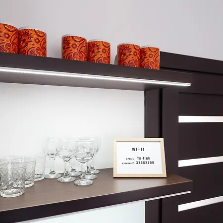 Apartment Lion King D2 Lviv